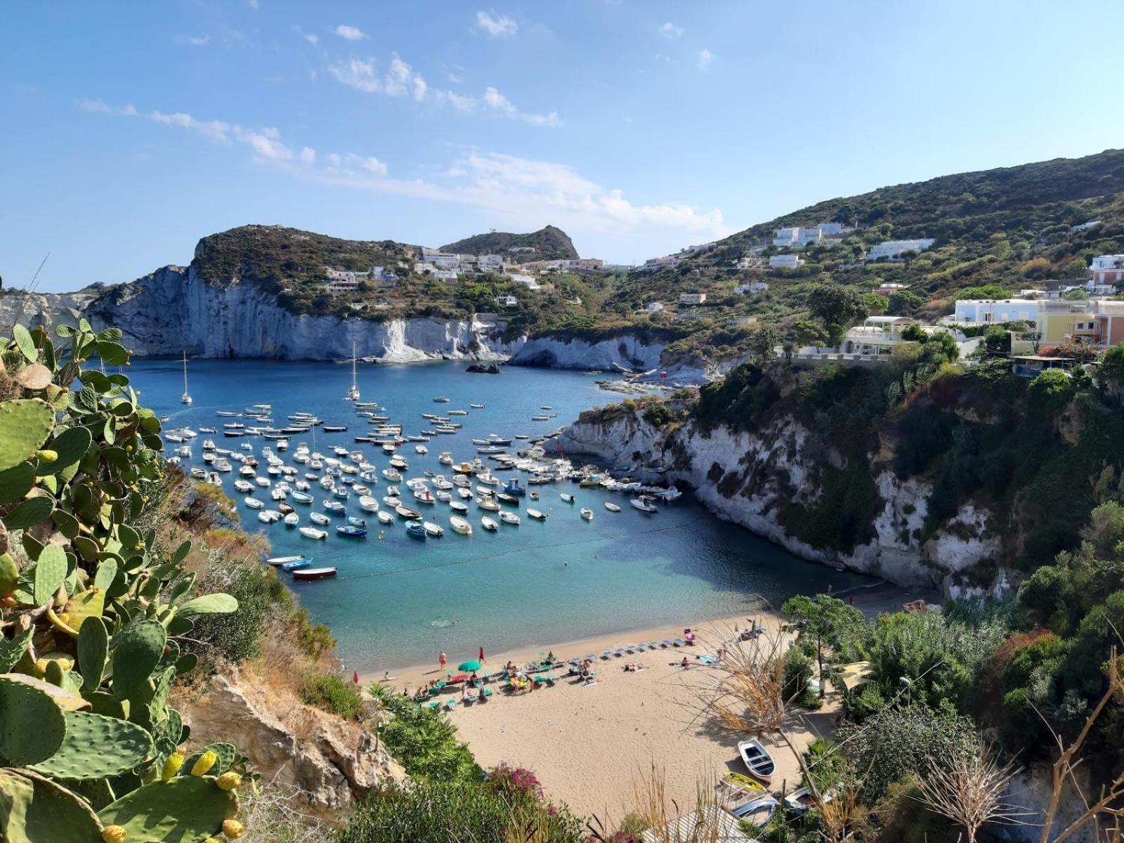 Ponza Holiday Homes - Cala Feola Eksteriør bilde